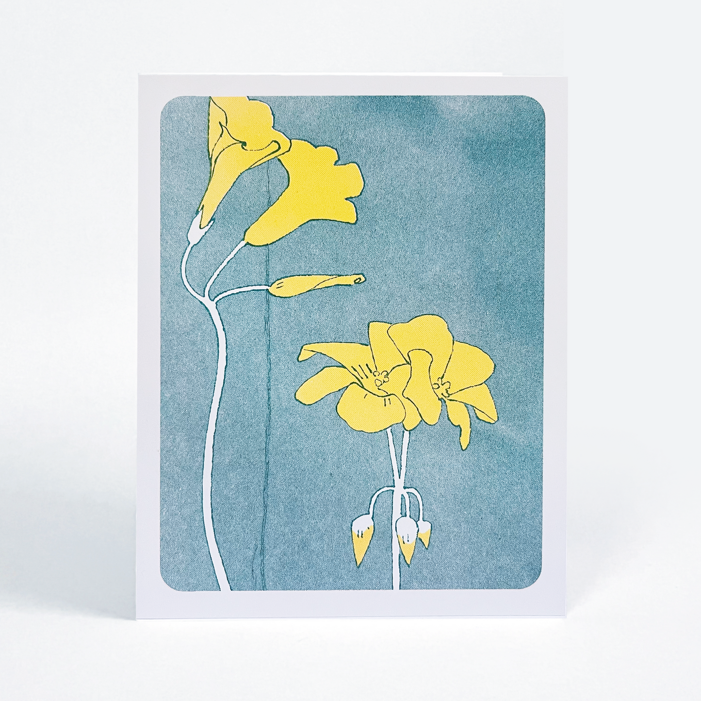 Sourgrass Bloom - Card 5 Pack