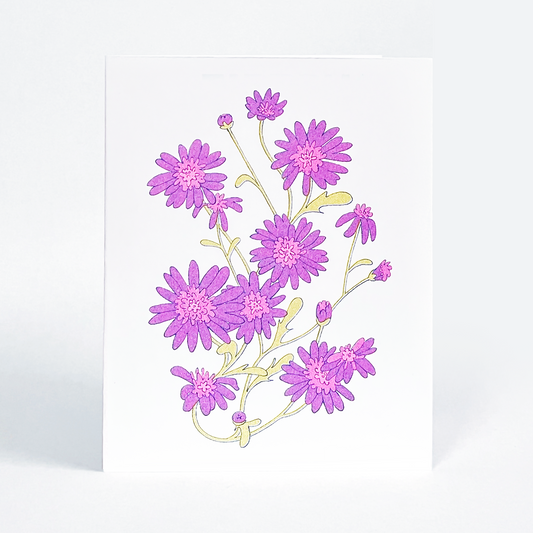 Full Bloom - Card 5 Pack