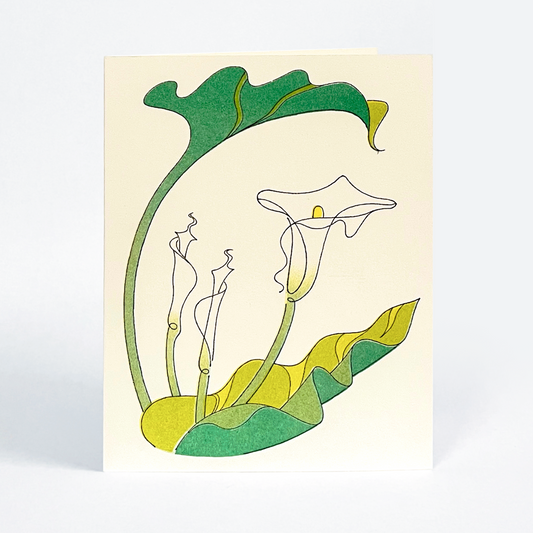 Calla Lily - Card 5 Pack